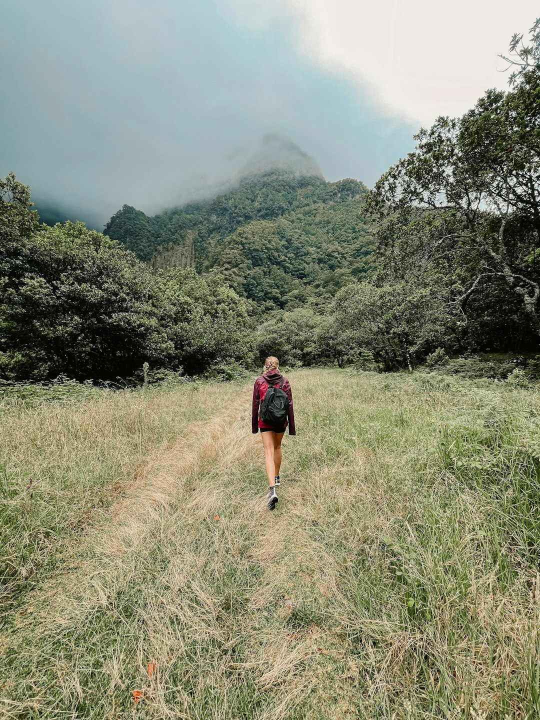 Serengeti Wildlife Safari