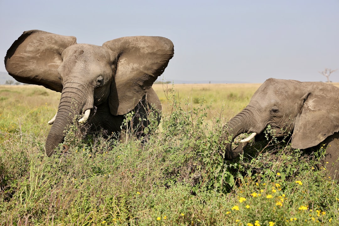 Peruvian Andes & Amazon Expedition